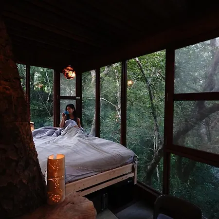 Treeful Treehouse Sustainable Resort Nago Exterior photo