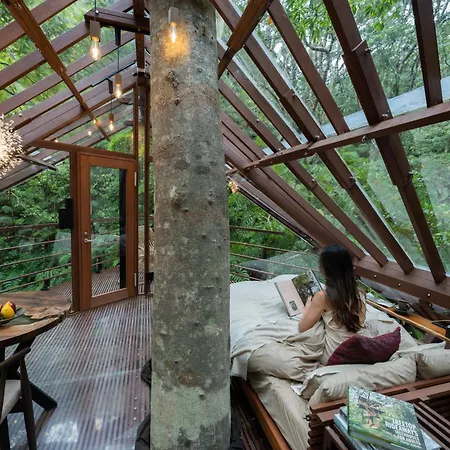 Treeful Treehouse Sustainable Resort Nago Exterior photo