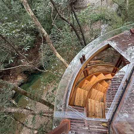 Treeful Treehouse Sustainable Resort Nago Exterior photo