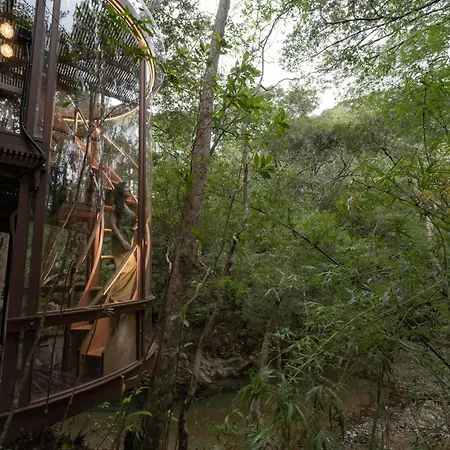 Treeful Treehouse Sustainable Resort Nago Exterior photo