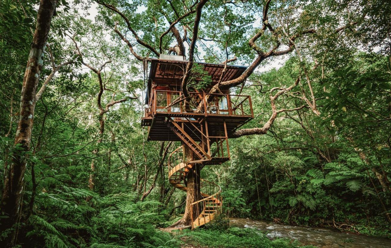 Hotel Treeful Treehouse Sustainable