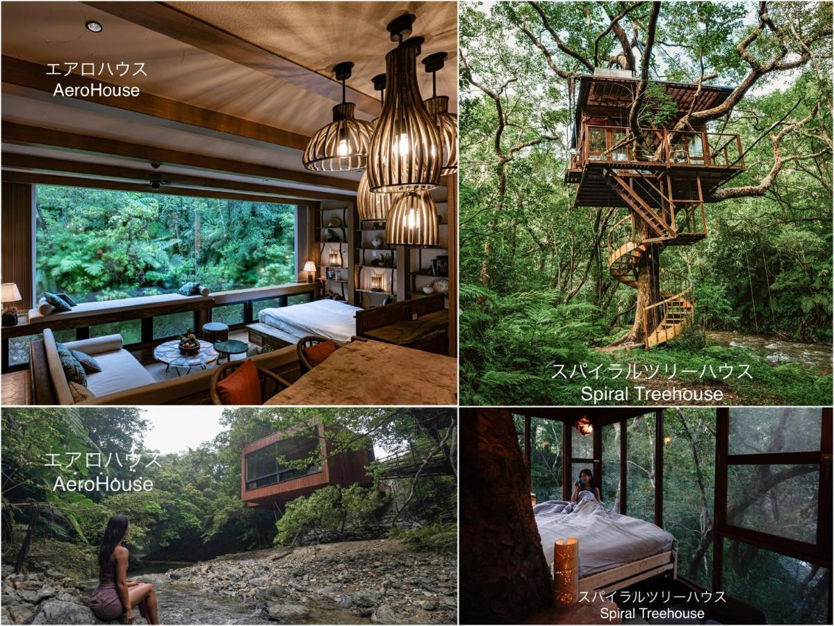 Treeful Treehouse Sustainable 5* Nago