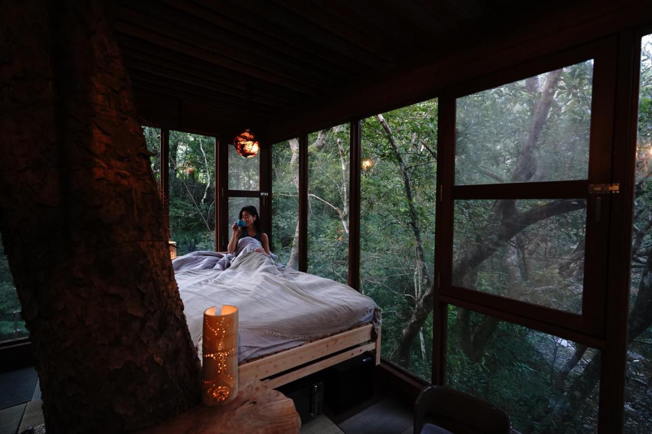 Hotel Treeful Treehouse Sustainable 5*