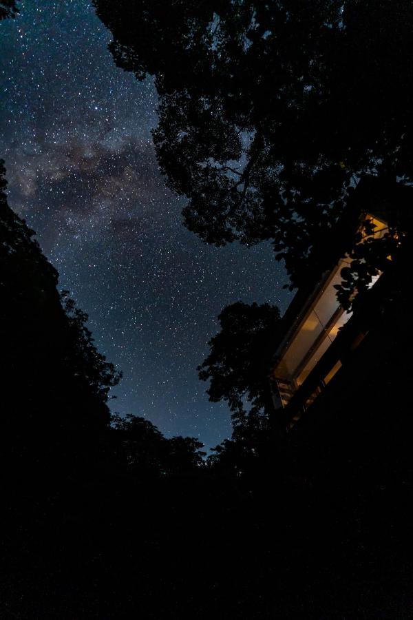 Hotel Treeful Treehouse Sustainable
