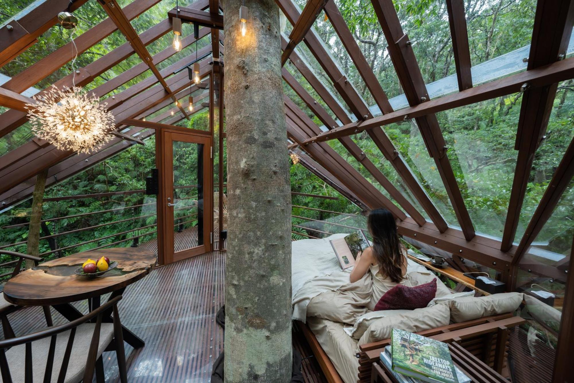 Hotel Treeful Treehouse Sustainable