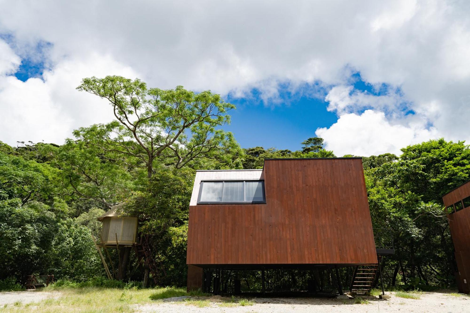Treeful Treehouse Sustainable