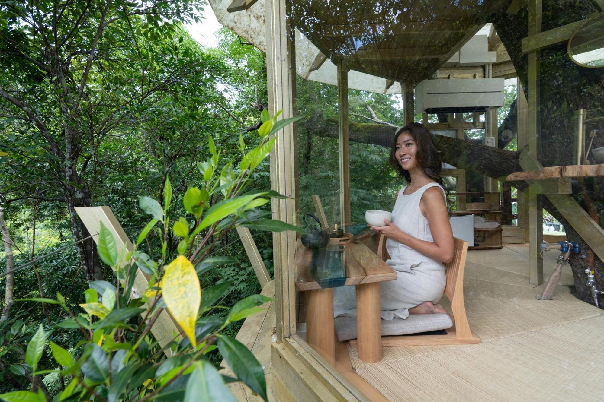 Treeful Treehouse Sustainable 5*