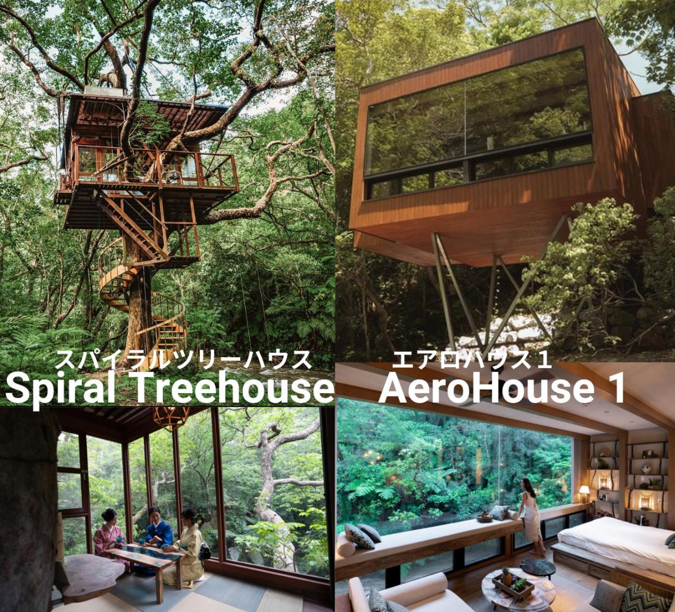 Hotel Treeful Treehouse Sustainable