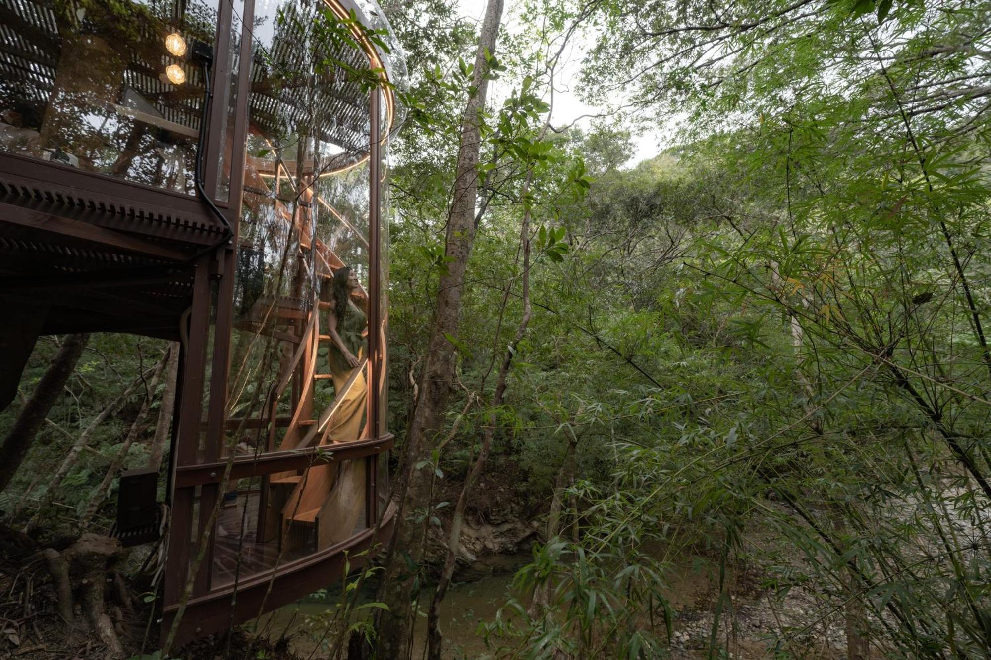 Treeful Treehouse Sustainable Nago