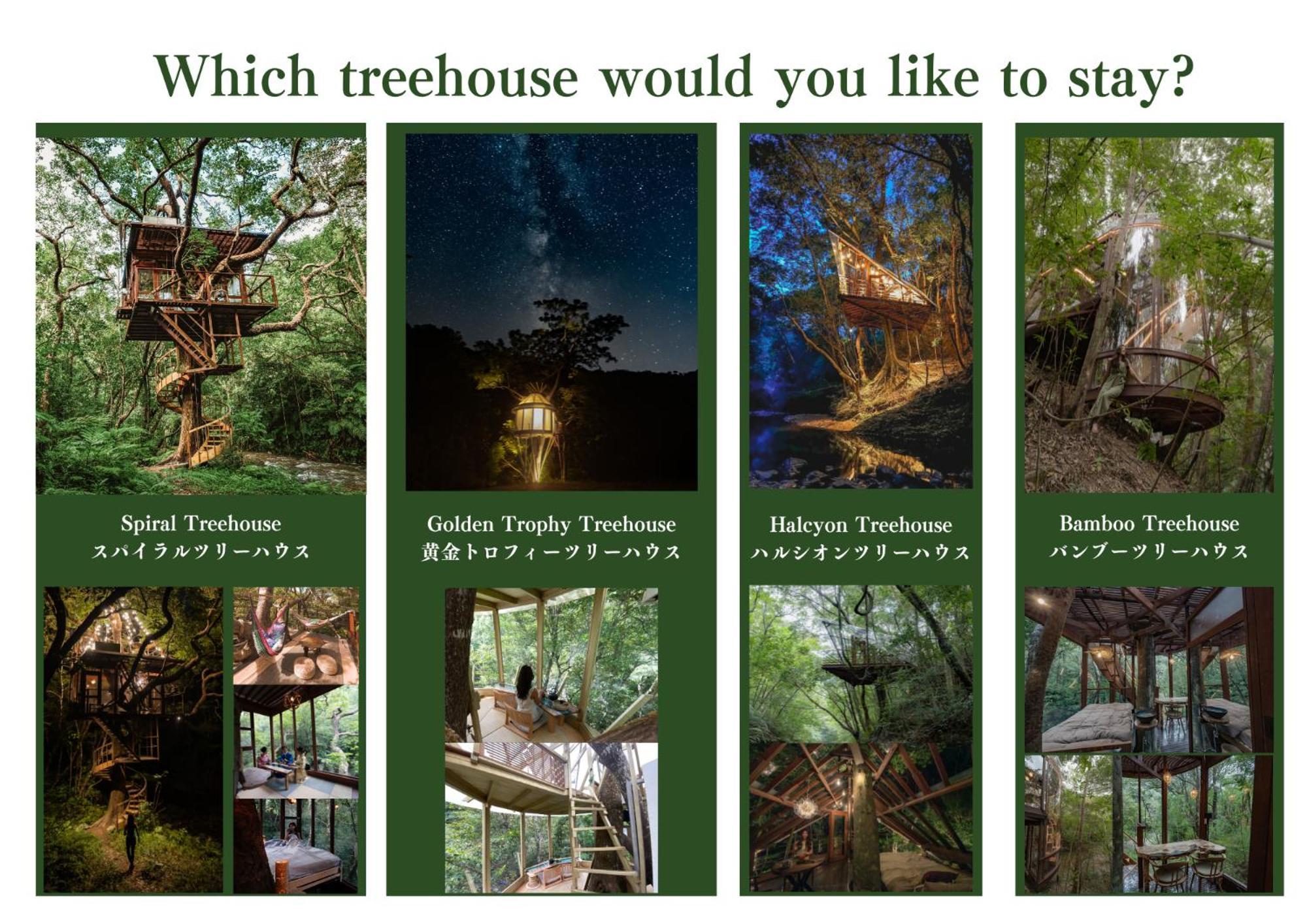 Treeful Treehouse Sustainable Hotel
