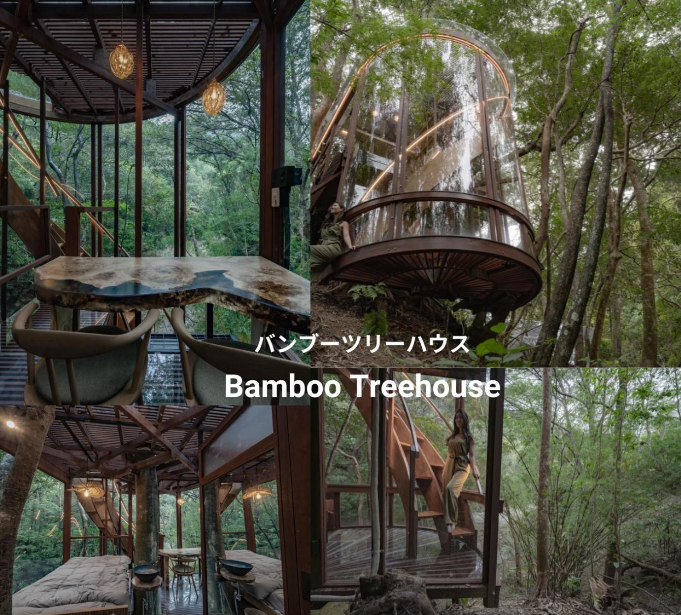 Hotel Treeful Treehouse Sustainable Nago