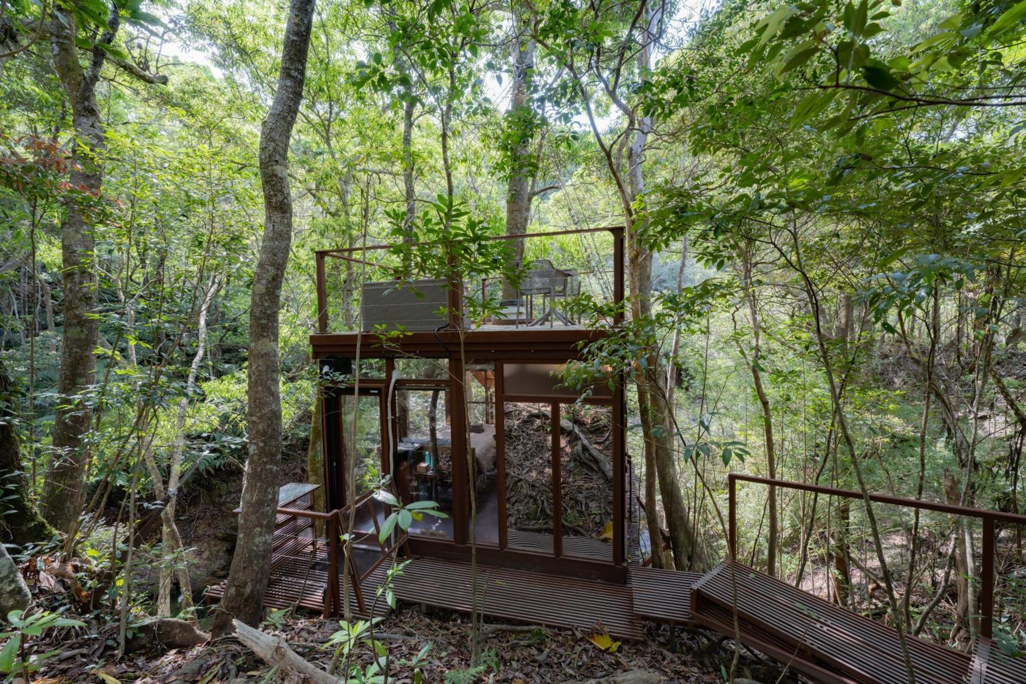 Hotel Treeful Treehouse Sustainable