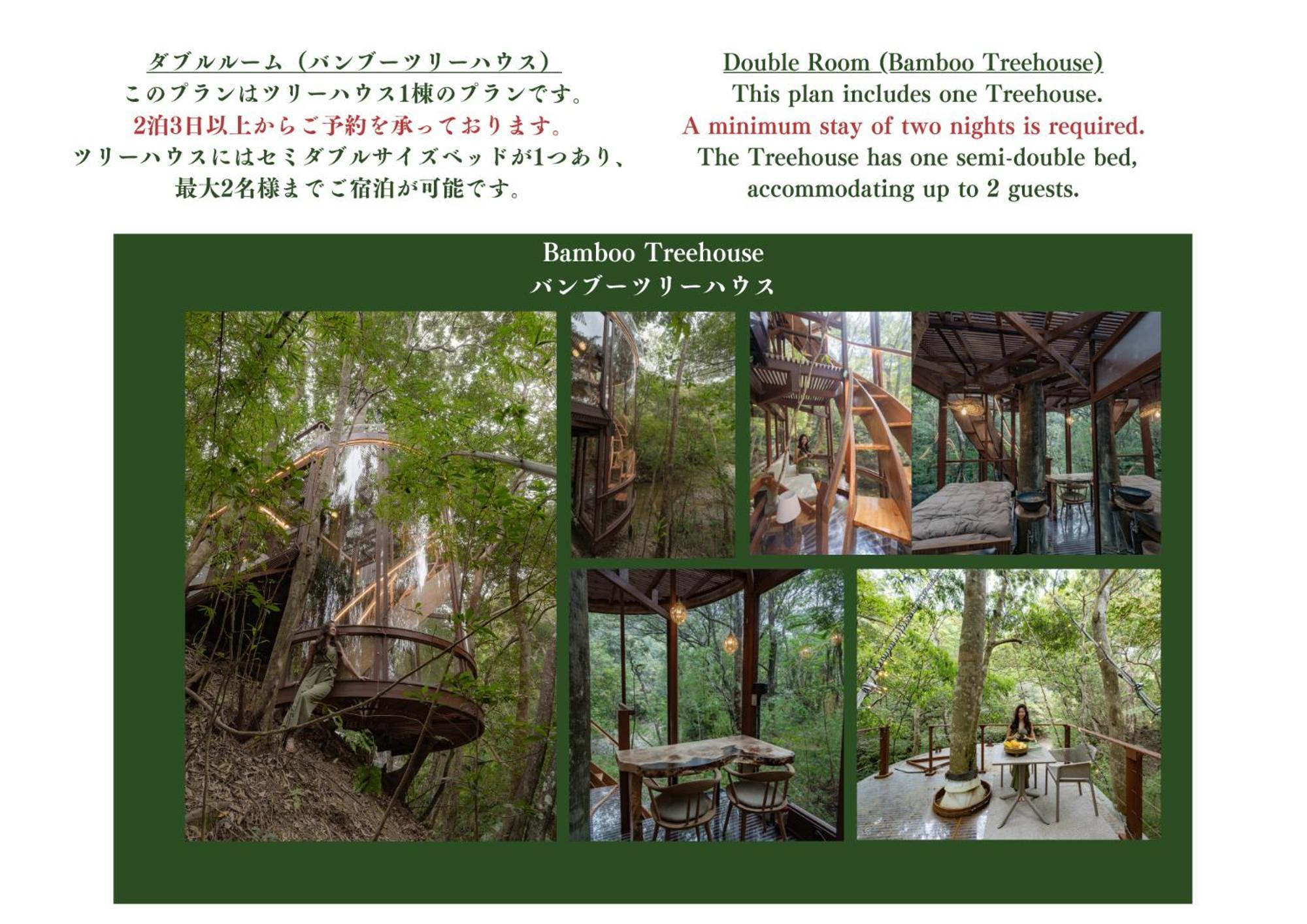 Hotel Treeful Treehouse Sustainable